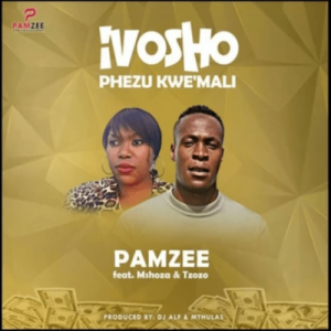 Pamzee – Ivosho Phezu Kwemali Ft. Mshoza, Tzozo