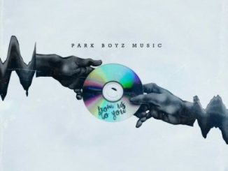 Parkboyz Music - Broken Heart (Remix) Ft. Ofentse