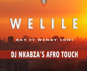 Ray, Wendy Soni - Welile (Dj Nkabza Afro Touch)