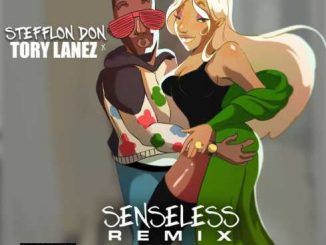 Stefflon Don – Senseless (Remix) [feat. Tory Lanez] [CDQ]