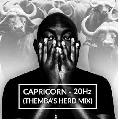 Capricorn – 20Hz (Themba’s Herd Mix)