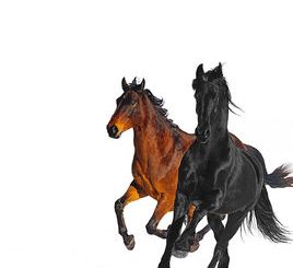 Lil Nas X - Old Town Road (feat. Billy Ray Cyrus) [Remix]