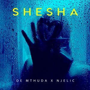 De Mthuda & Njelic – Shesha