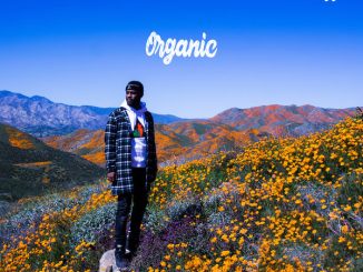 ALBUM: Casey Veggies - Organic