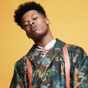 Nasty c – racism snippet