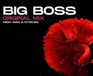 Mick-Man & Ntokzin – Big Boss