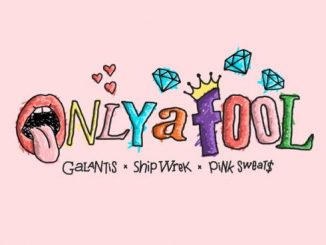 Galantis, Ship Wrek & Pink Sweat$ – Only a Fool