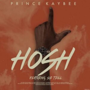 Prince Kaybee – Hosh Ft. Sir Trill