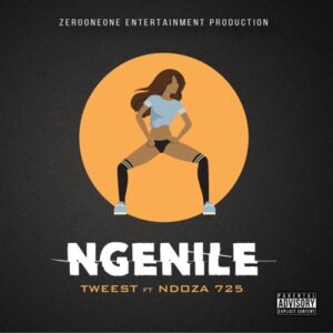 Tweest - Ngenile Ft. Ndoza 725