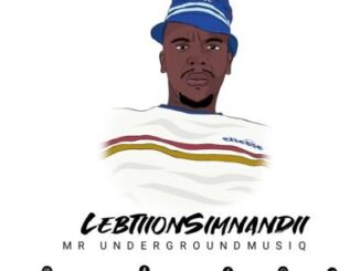 Lebtiion Siimnandi - Piano Groove Vol.8 (Strictly DJ King Tara & Mdu a.k.a Trp) Ft. Dr.sauce