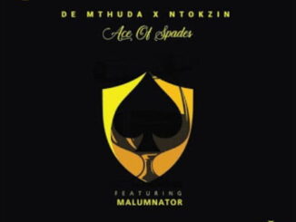 De Mthuda - Dakwa Yini Ft. MalumNator & Ntokzin