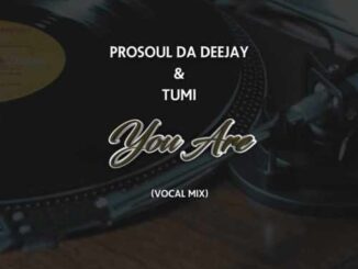 ProSoul Da Deejay - You Are (Vocal Mix) Ft. Tumi