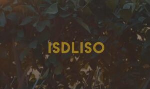 DJ Melzi – Isdliso Ft. Mkeyz