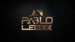 Pablo Le Bee – Pheko Ya Badimo (Christian BassMachine)