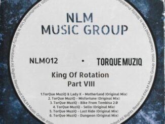 TorQue MuziQ – King Of Rotation Part VIII