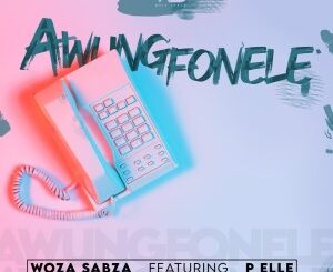 Woza Sabza – Awungfonele Ft. P Elle