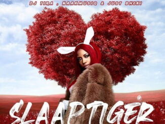 Gigi Lamayne – Slaap Tiger Ft. DJ Tira, NaakmusiQ & Just Bheki