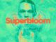 ALBUM: Ashton Irwin – Superbloom