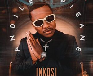 Andile Mpisane – Inkosi Ft. Jumbo