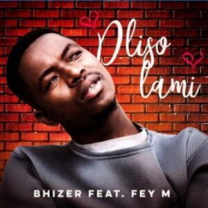 Bhizer – Dliso Lami Ft. Fey M