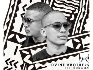 Dvine Brothers – Woza Mali (Incl. Remixes) Ft. Nokwazi