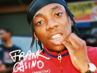 Frank Casino – I Cannot Lose