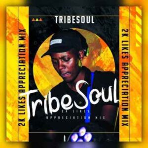 TribeSoul – 2K Appreciation Mixtape