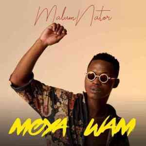 MalumNator – Moya Wam