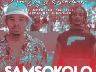 Tee Jay & Rascoe Kaos – Samsokolo Ft. ThackzinDJ, Sir Trill & Boohle