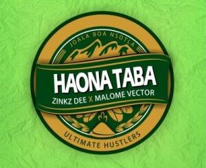 Zinkz Dee – Haona Taba ft Malome Vector