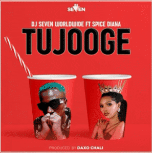 Tujooge – Dj Seven Worldwide (feat.Spice Diana)