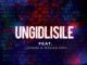 Dj Ace – Ungidlisile Ft. Lemark, Real Nox & Jessica Sodi