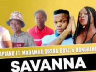 Mr Mapiano – Savanna Ft. Madamax, Sosha Boyz & Bonguthando (Original)