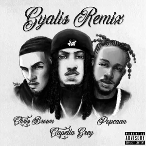 gyalis-remix-feat.-chris-brown-single-capella-grey-and-popcaan