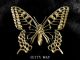 fetty-wap-the-butterfly-effect