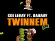 twinnem-feat.-dababy-remix-single-coi-leray