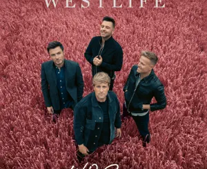 wild-dreams-westlife