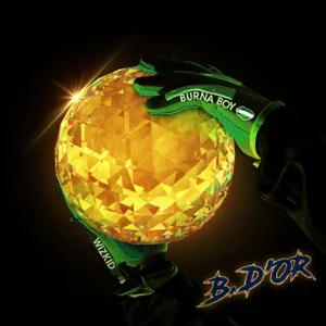 b.-dor-feat.-wizkid-single-burna-boy