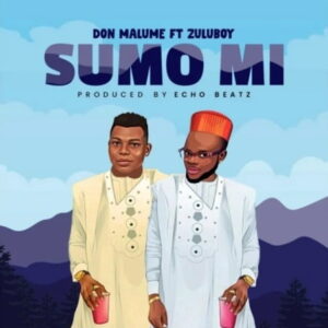 don-malume-–-sumo-mi-ft.-zuluboy