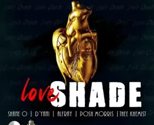 nutty-o-–-sinking-emotions-love-shade-riddim