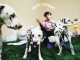 rex-orange-county-who-cares-