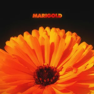 Marigold-Alex-Isley-and-Jack-Dine