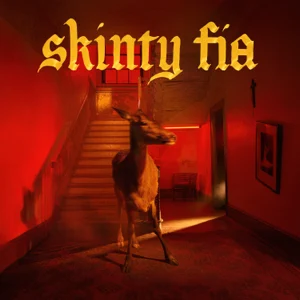 Skinty-Fia-Fontaines-D.C.