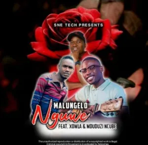 DOWNLOAD-Malungelo-–-Nguwe-ft-Xowla-Mduduzi-Ncube-–.webp