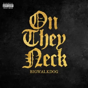 BigWalkDog - On They Neck