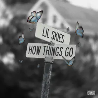 How Things Go - Single
Lil Skies