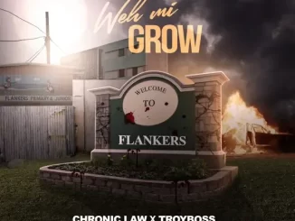 Chronic Law - Weh Mi Grow (feat. Troyboss)