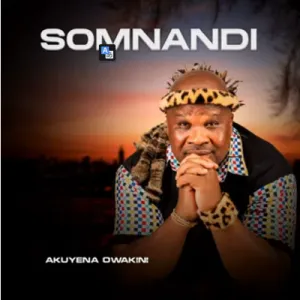 Somnandi - Akuyena Owakini