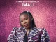 Nobuhle - Imali ft Master kg & Casswell P