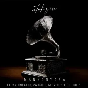 Ntokzin - Manyonyoba ft MalumNator, 2woshort, Stompiiey & Dr Thulz